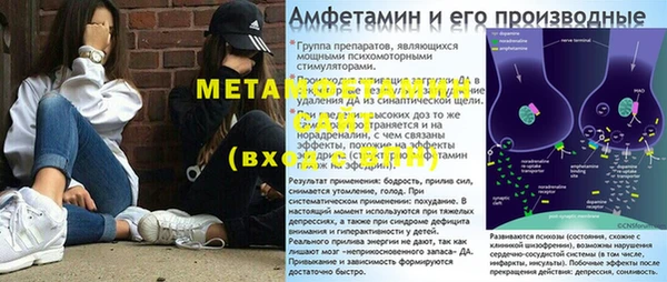 гидра Гатчина
