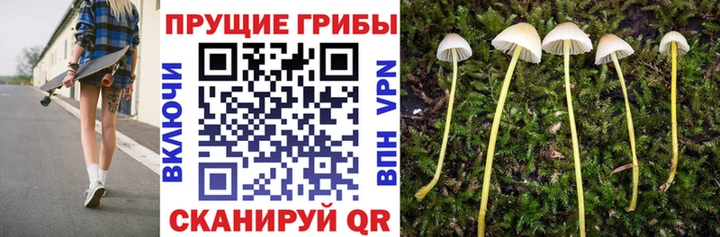 Галлюциногенные грибы ЛСД  где купить наркоту  Кола 